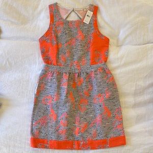 Ella Moss dress, size L (NWT)